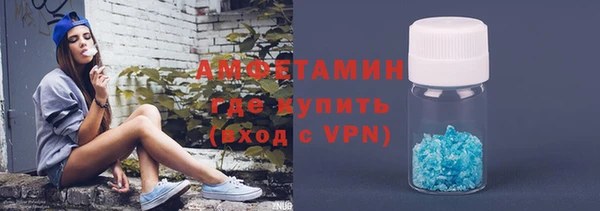 сатива Алзамай
