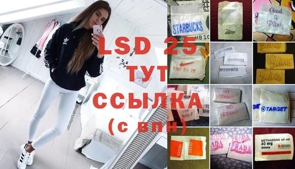 сатива Алзамай