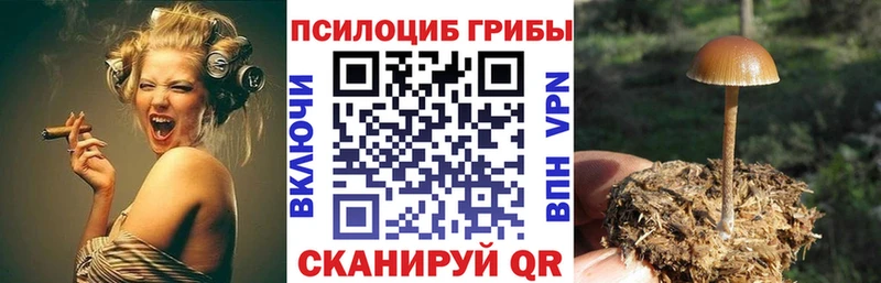 Псилоцибиновые грибы мицелий Камбарка